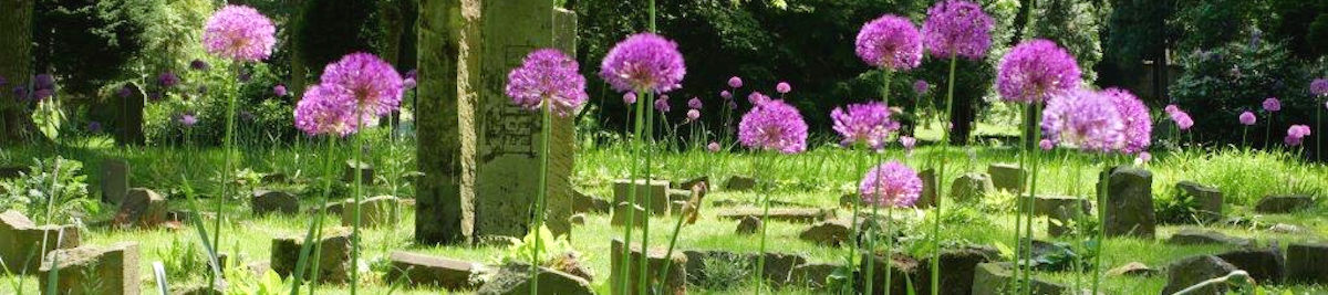 Hasefriedhof und Johannisfriedhof in Osnabrück
